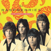 Hard To Get Over A Heartbreak by The Raspberries