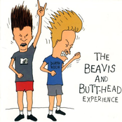 The Beavis And Butt-Head Experience