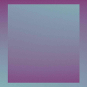 Chinese Bosnian Plantation