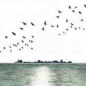 Llama: インデペンデンス