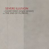 Clear Head & The End Of Flowers