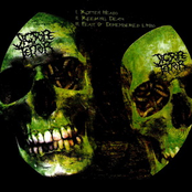 suppository / jigsore terror