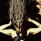 Revolução das Bruxas - Single