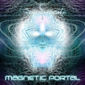 Magnetic Portal Album Picture