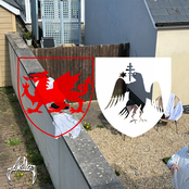 Just Not Sure - Single