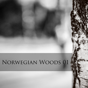 NORWEGIAN WOODS 01