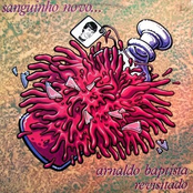 Sanguinho Novo - Arnaldo Batista Revisitado