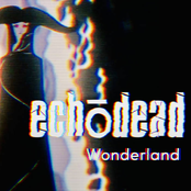 Wonderland
