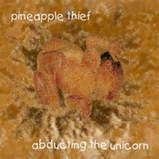 Drain by The Pineapple Thief