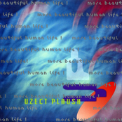 More Beautiful Human Life