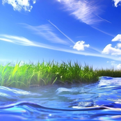 r e f l e c t i o n s