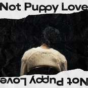 Not Puppy Love - Single