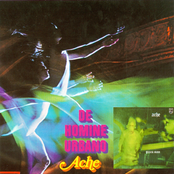 De Homine Urbano & Green Man