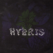 Hybris