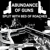 Split w/ Bed Of Roaches