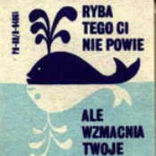 niezwykle smutna ryba