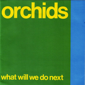 What Will We Do Next?