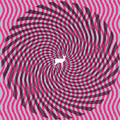 Deerhunter: Cryptograms