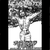 Shredded Flesh (Demo)