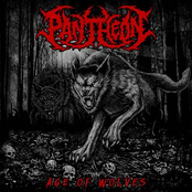 Age of Wolves