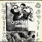 There Are Mammals They Have Not Told You Of...