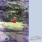 Tell Everyone Everything