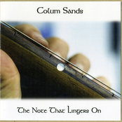 Wake Song by Colum Sands