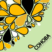 Soopha by Cohoba