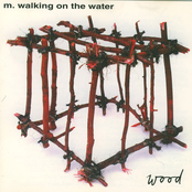 Borderline by M. Walking On The Water