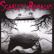 That Was A Lie by Scarlet's Remains
