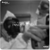 Pandemic Year