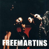 the freemartins