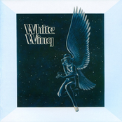 Whitewing