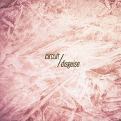 Circuit / Disguise