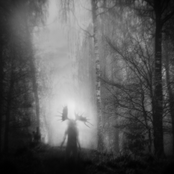 A Manifested Nightmare