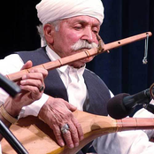 hossein samandari