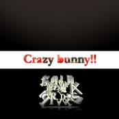 Crazy bunny!!