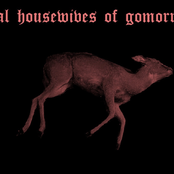 real housewives of gomorrah