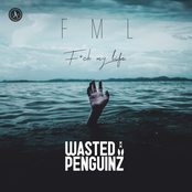 Wasted Penguinz: FML