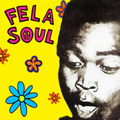 fela soul