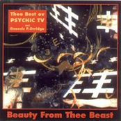 Your Body by Psychic Tv