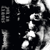 Split w/ Slowly We Rot