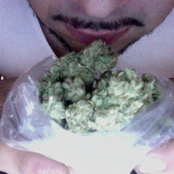 Sorry for the Hiatus