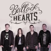bullock hearts