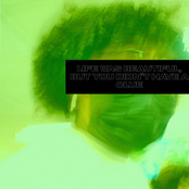 LIFE WAS BEAUTIFUL, BUT YOU DIDN'T HAVE A CLUE