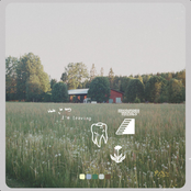 Hazlett: Missionary Feelings