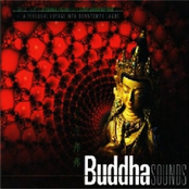 Buddha Sounds: A Personal Voyage into Downtemp Lands