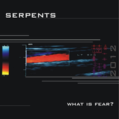What Is Fear? by Serpents