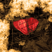 Одиннадцать Зеркал