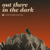 Out There In The Dark - A Mexican Summer Compilation